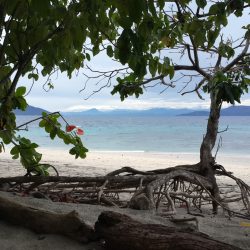 20140728_104900_Richtone(HDR)