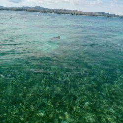 IMG_20230616_113825_509